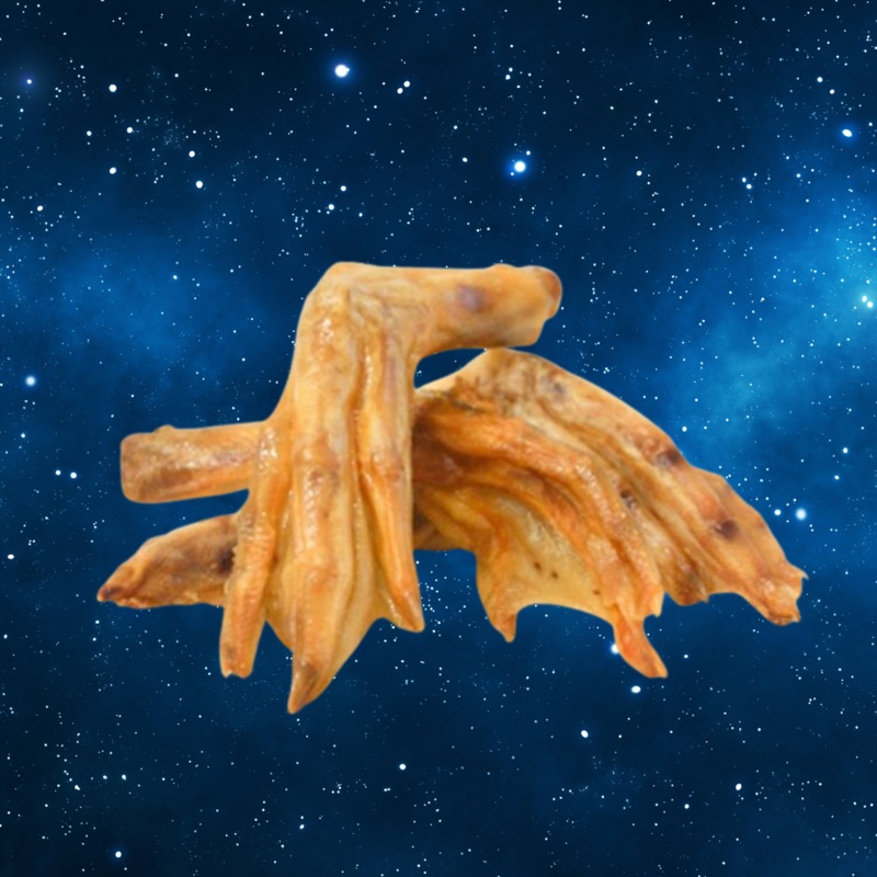 Pup Planet Deli - Duck Foot (single)
