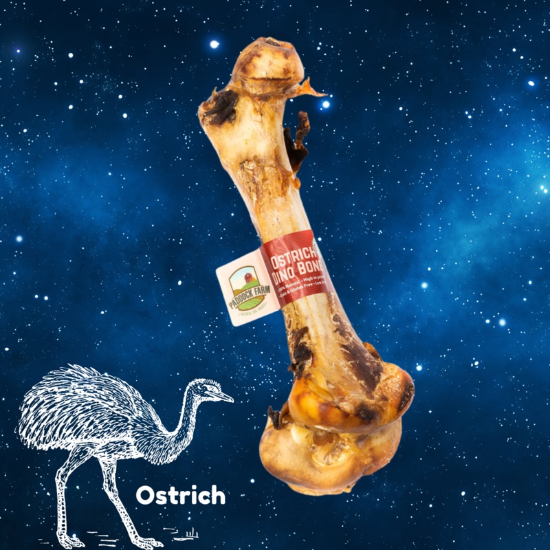Pup Planet Deli - Ostrich Dino Bone (Smoked)
