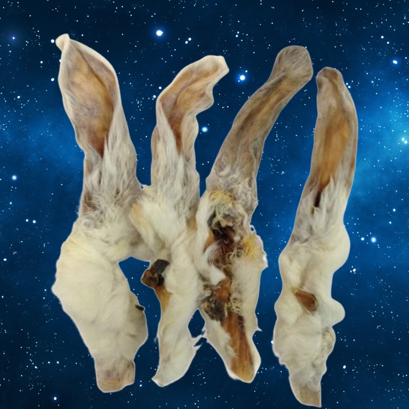 Pup Planet Deli - Rabbit Ear (single)