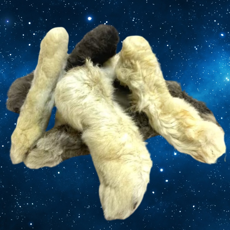 Pup Planet Deli - Rabbit Foot (single)