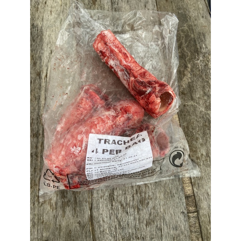 Bulmer Trachea x4 (frozen-raw)