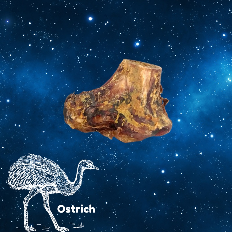 Pup Planet Deli - Ostrich Knuckle