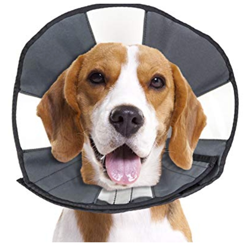 Zenpet Pro Cone - Medium