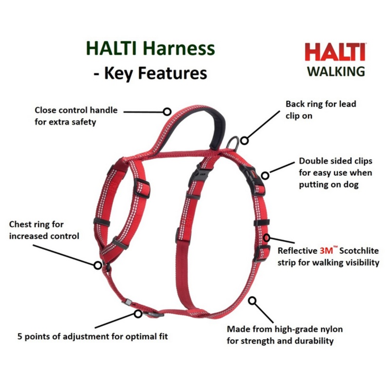 Halti Walking Harness - 22 in.-30in.