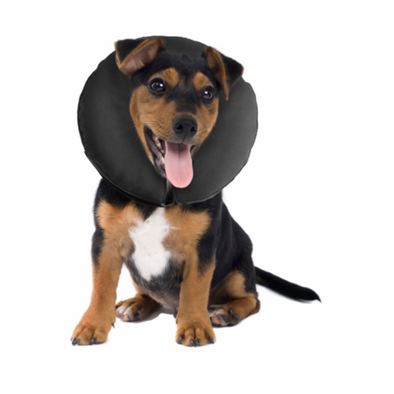 Inflatable ProCollar - Small