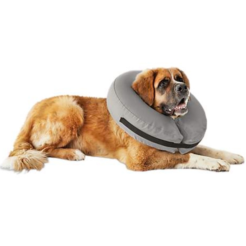 Inflatable Procollar - XXL