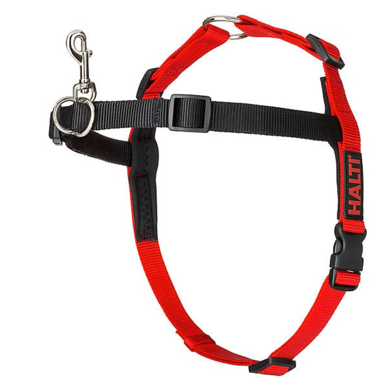 Medium Halti Harness