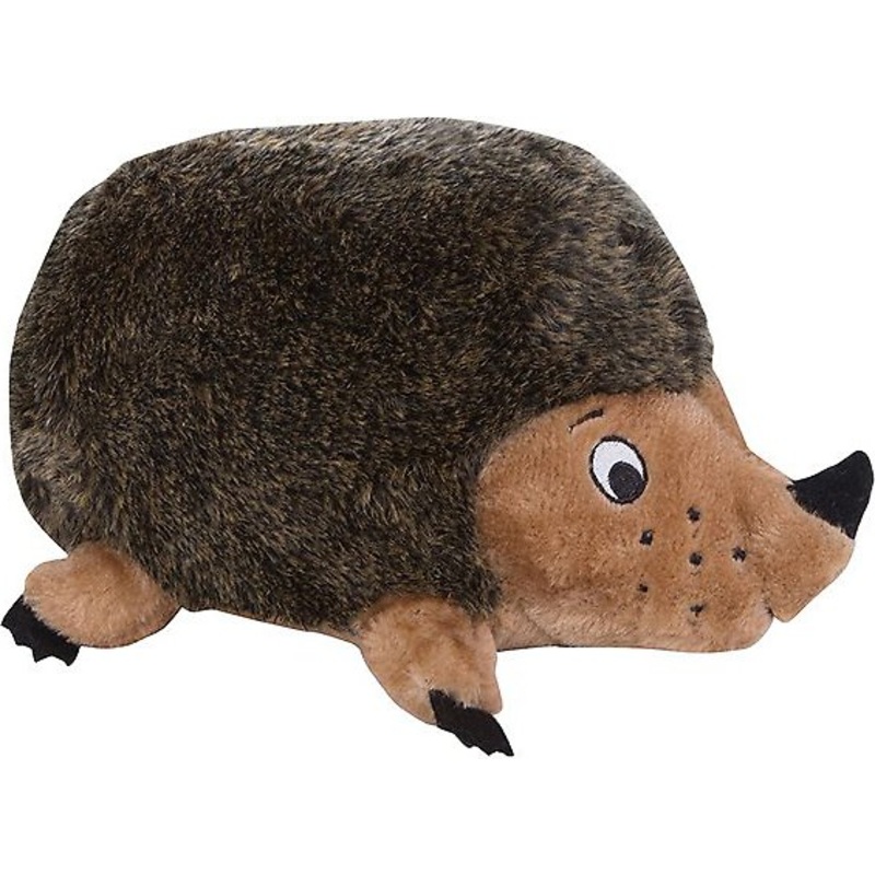Medium Hedgehog