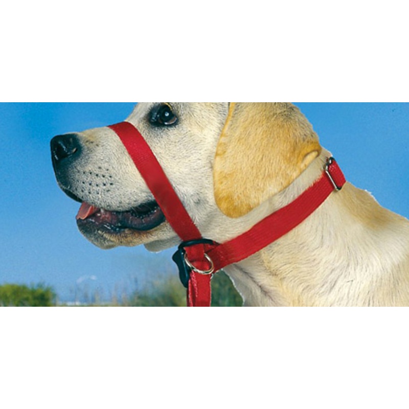 Premium Tuff Lock Behave Control Lead (Medium or Large)