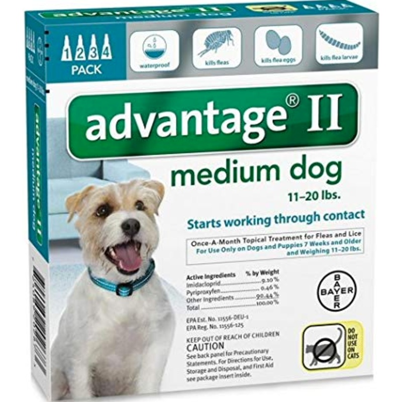 Advantage II Medium Dog 4 Pack - Teal