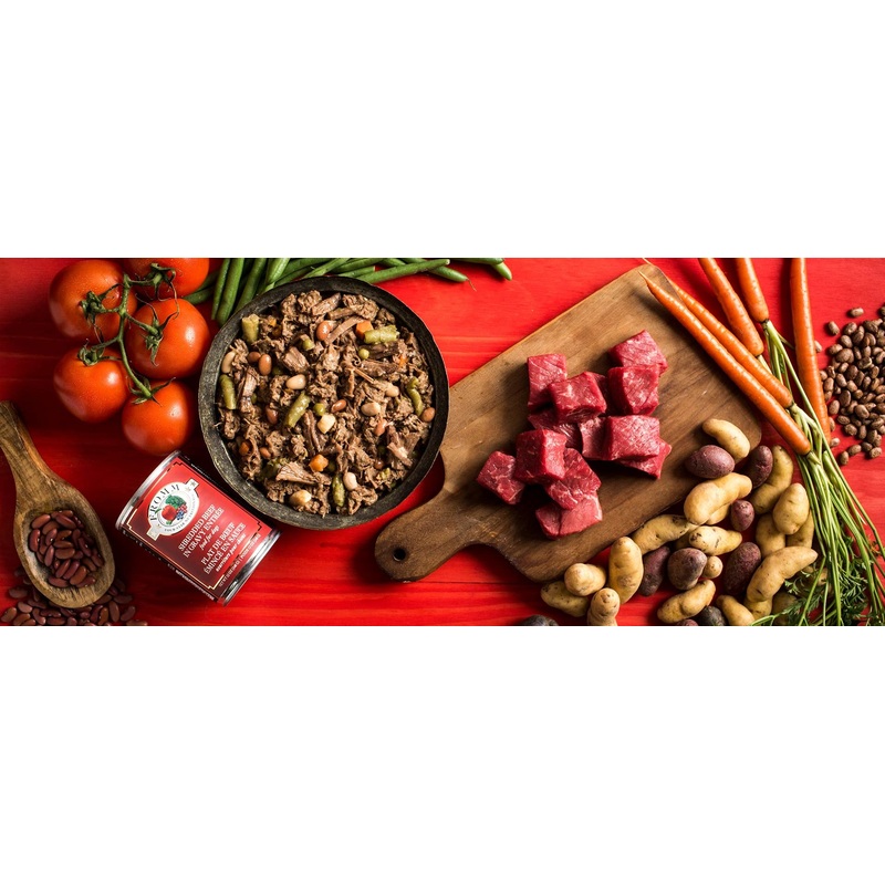 Fromm 4-Star Shredded Beef Canned Dog Food 12 oz.