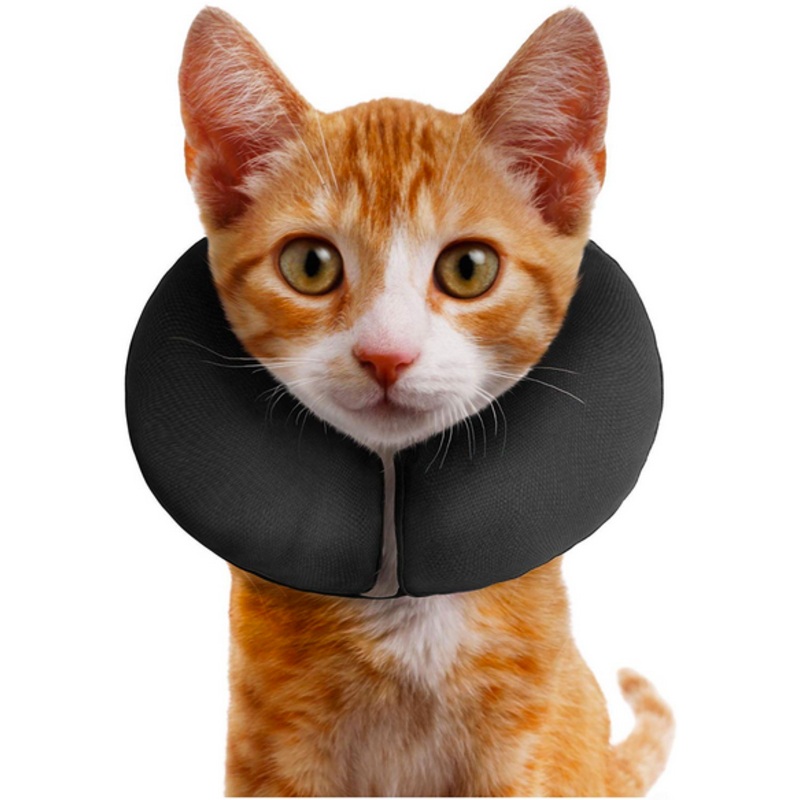 Inflatable Procollar - XS