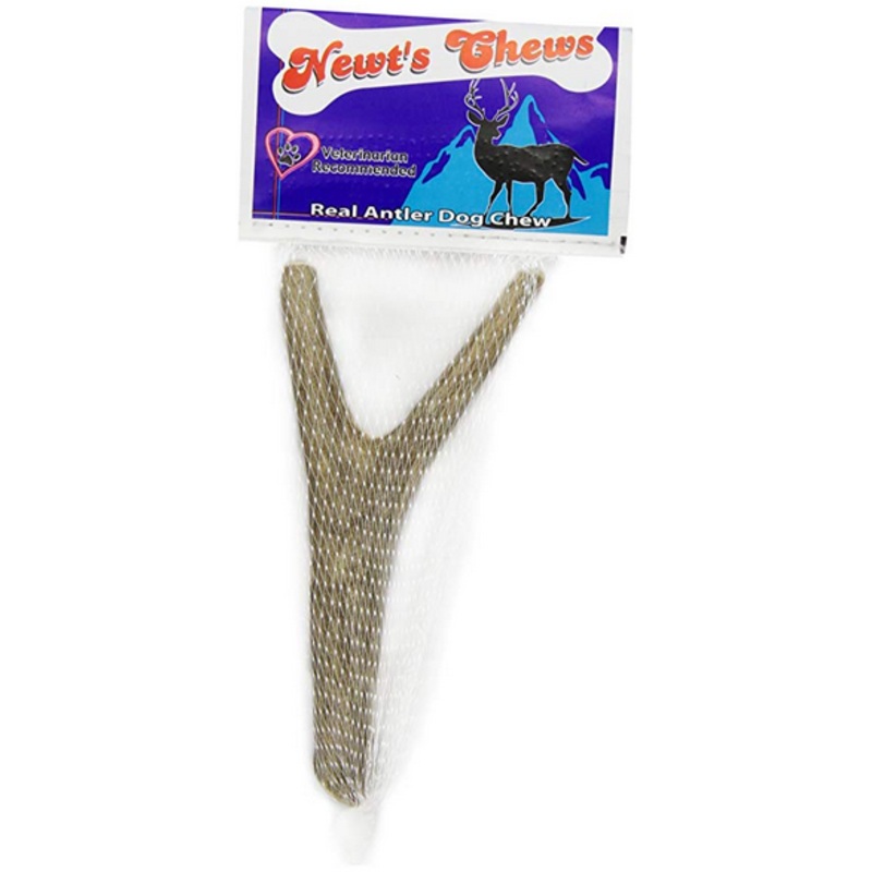 Newts Medium Antler