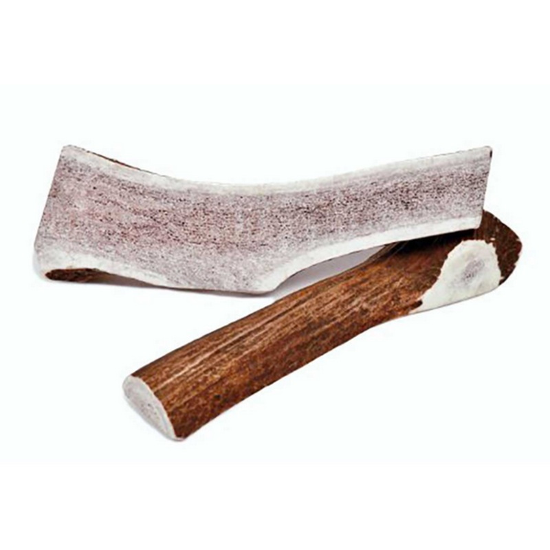Newts Premium Heavy Sliced Elk Antler 7-10 in.
