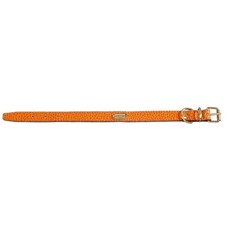 Flat Padded Calfskin Collar - Orange