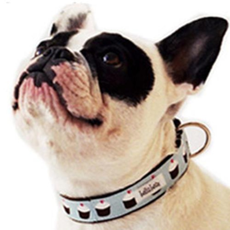 Bella Bean Blue Cupcakes Collar & Lead