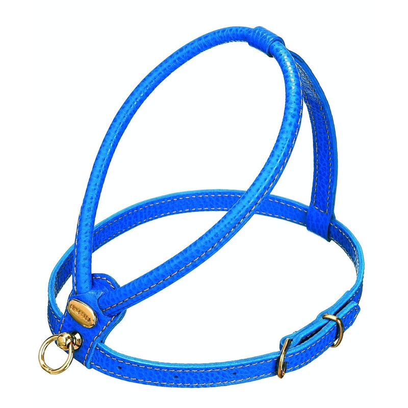 Blue Calfskin Harness