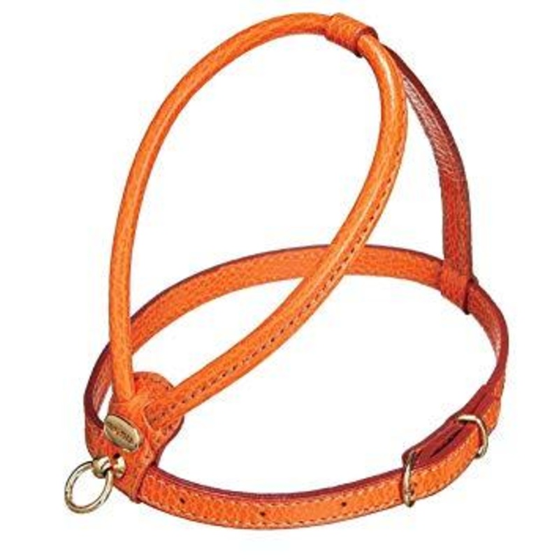 Orange Calfskin Harness