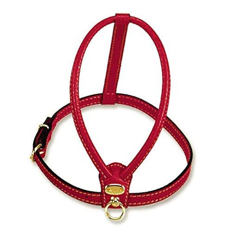 Red Calfskin Harness