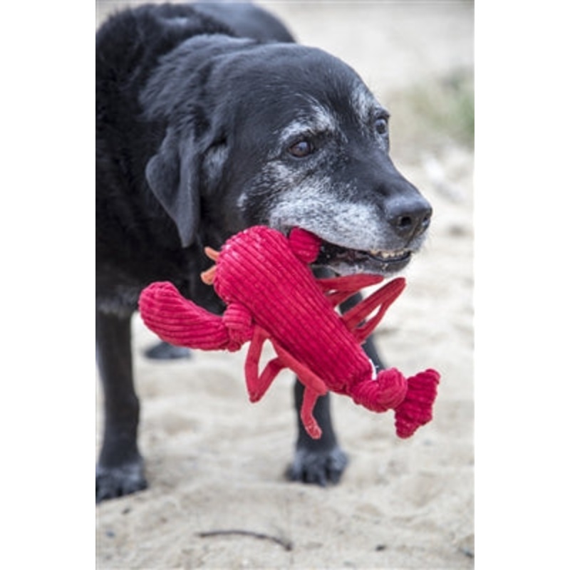 Lobsta Knottie Toy