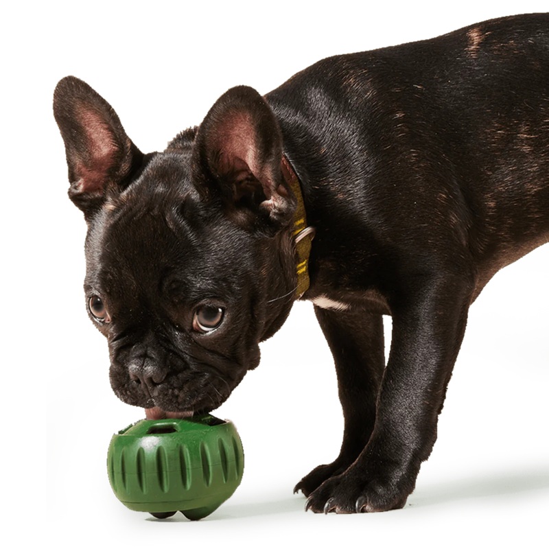 The Woof Pupsicle Treat Dispenser