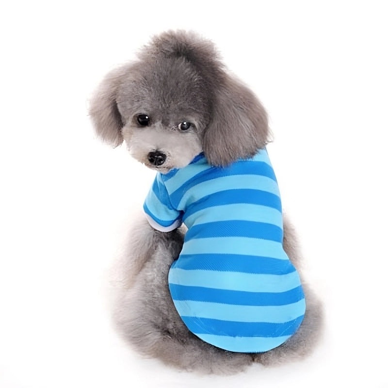 Blue/Light Blue Stripe Polo Shirt