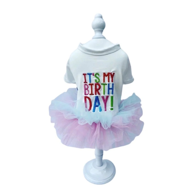 It's My Birthday Tee Shirt Dress