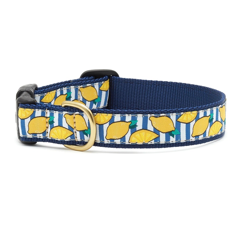 Lemonade Collar