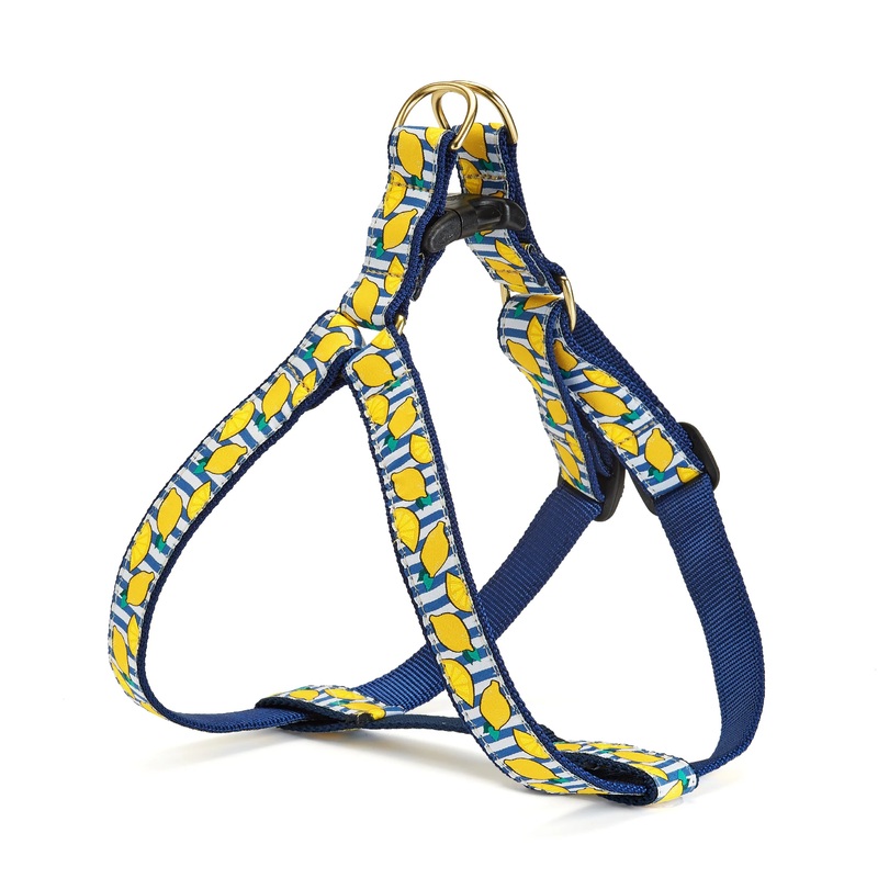 Lemonade Harness