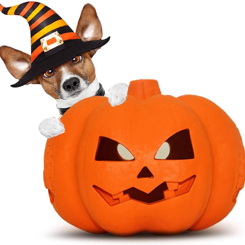 Pet-Fun Pumpkin Chew Toy
