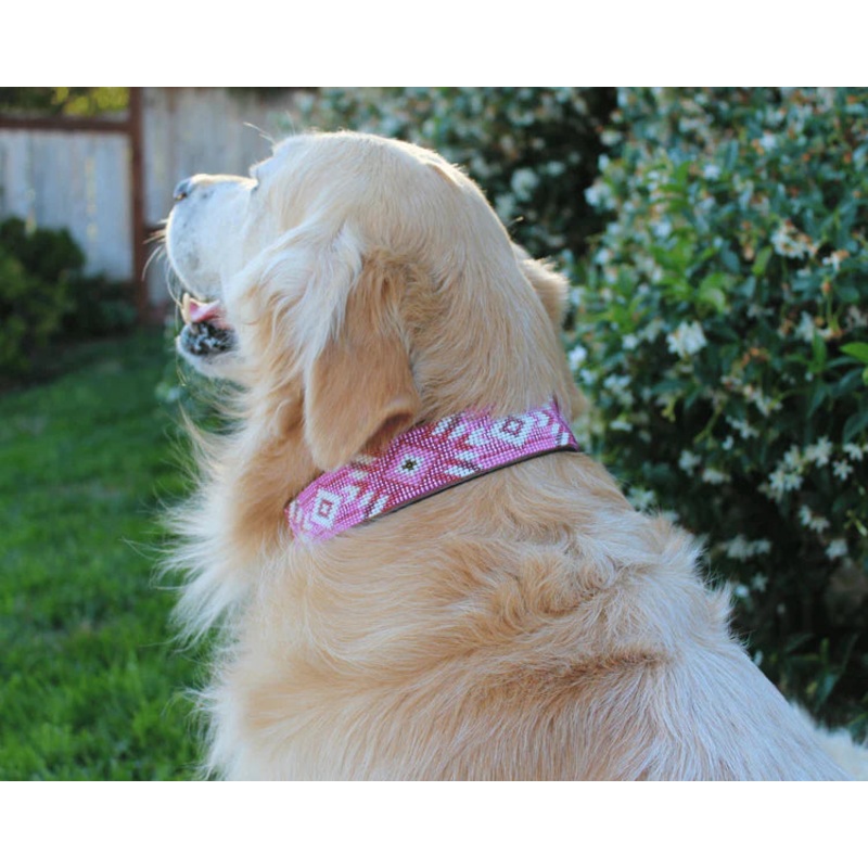 Sambboho Melrose Collar