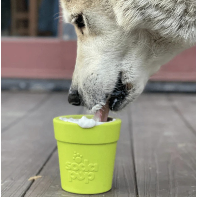 Soda Pup Flower Pot Treat Dispenser & Bowl