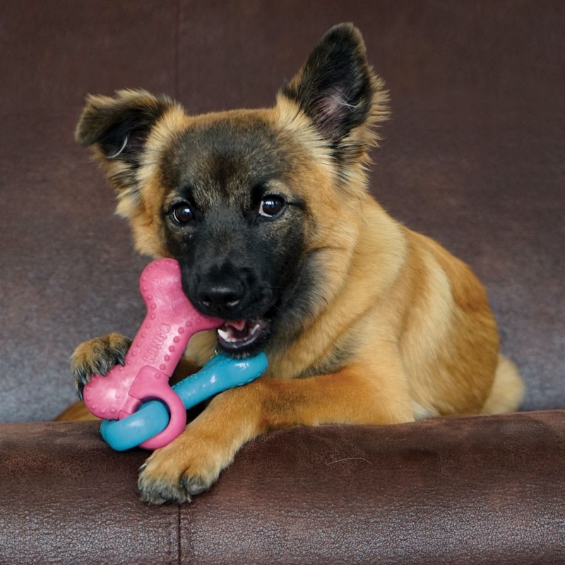 Kong ChewStix Puppy Linked Bones