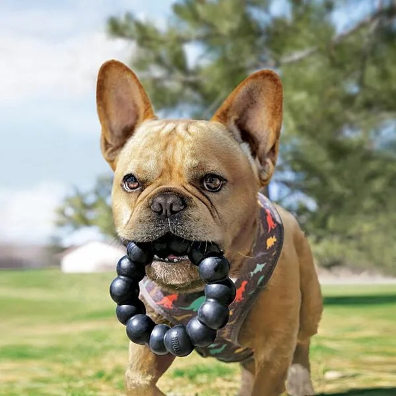 Kong Xtreme Ring XL