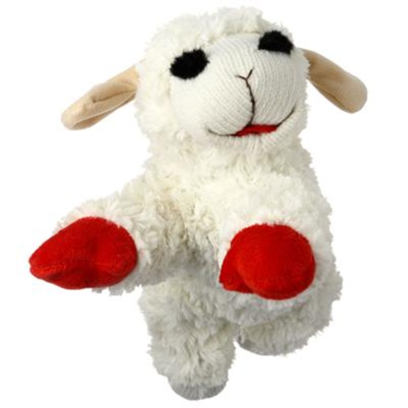 Lamb Chop