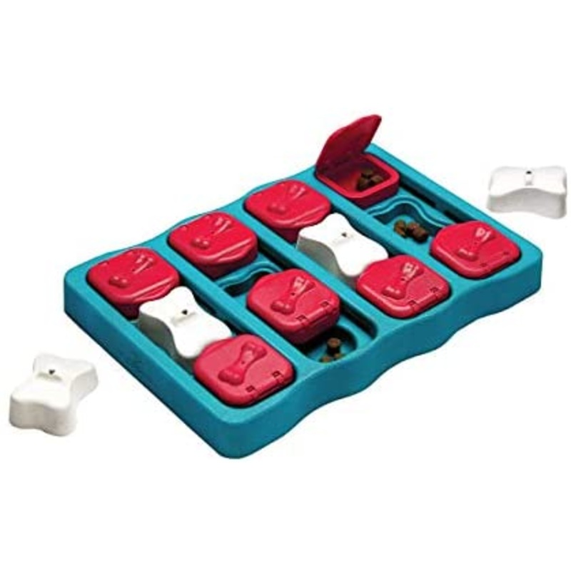Nina Ottosson Dog Brick Puzzle
