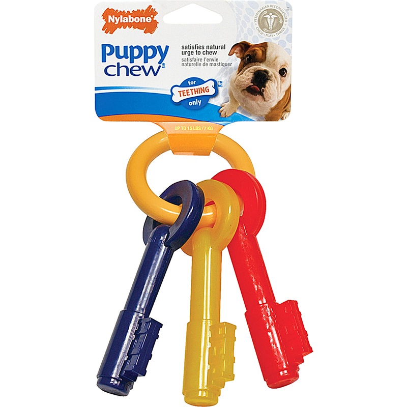 Nylabone Teething Keys Puppy