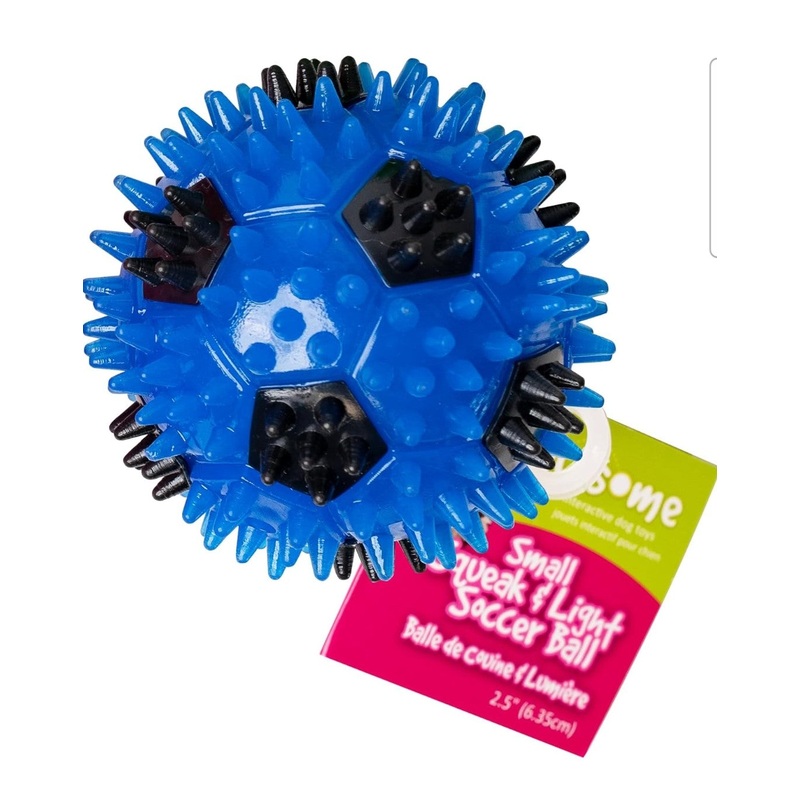 Gnawsome 2.5" Soccer Ball