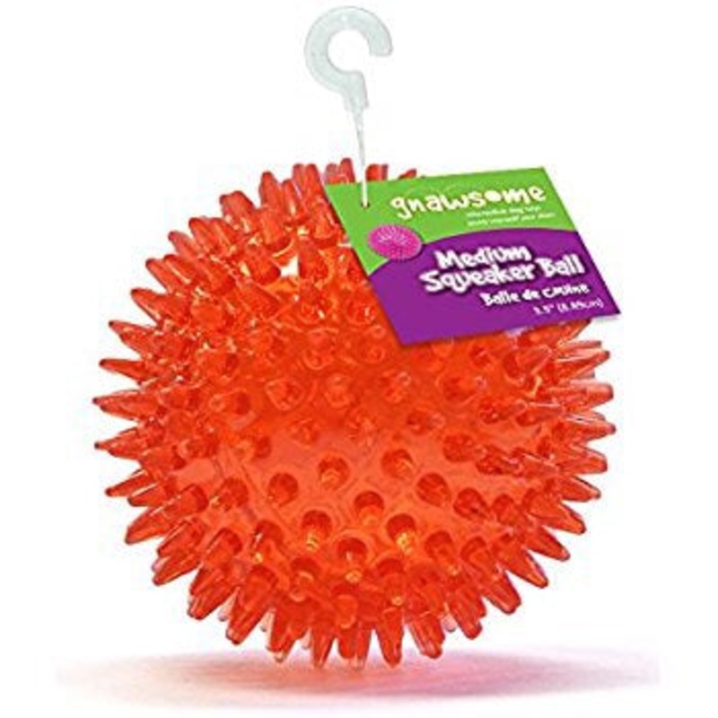 Gnawsome Squeaker Ball