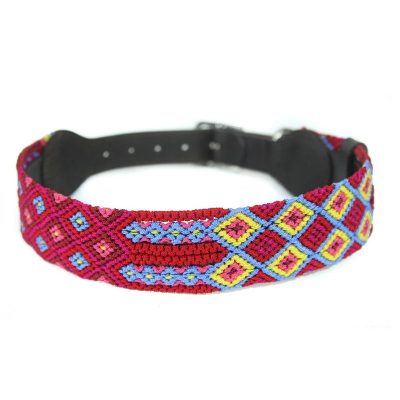 Eclectic Array Mai Tai Extra Small Slim Collar