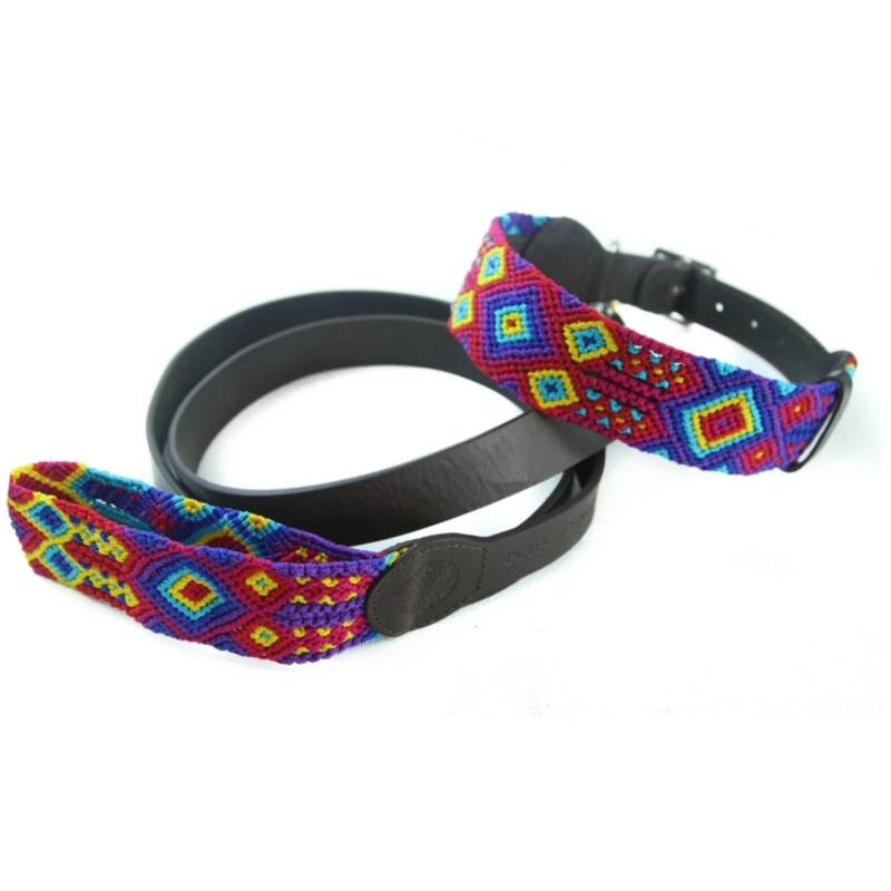 Eclectic Array Raspberry Small Leash