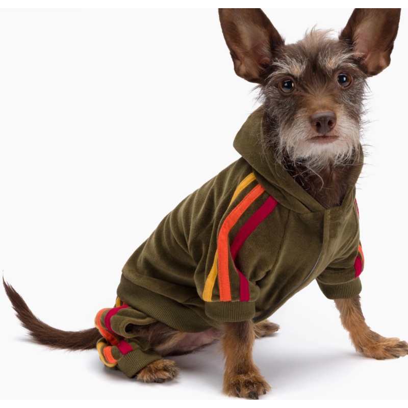 fabdog - Olive Velour Dog Jogger