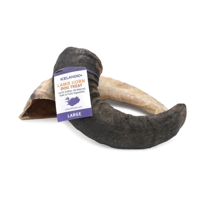 Icelandic Lg Lamb Horn "Chew Bar"