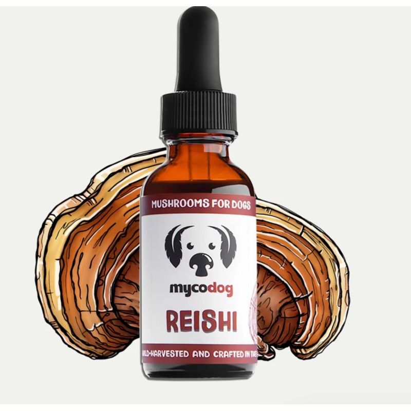 My Co Dog- Reishi