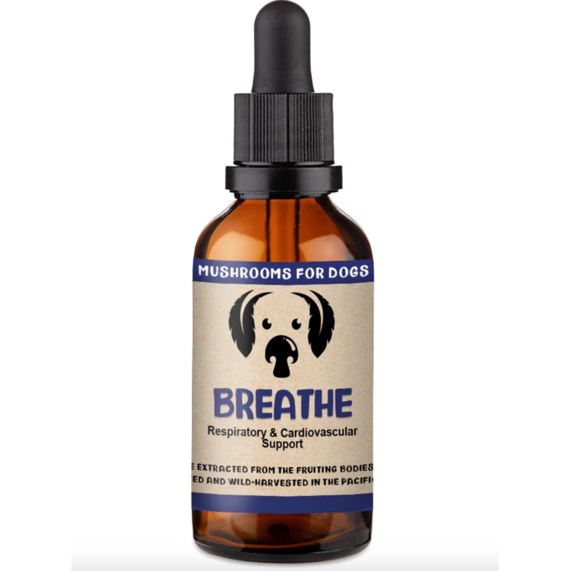 Mycodog Mushroom Tincture- Breathe