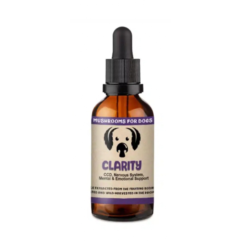 Mycodog Mushroom Tincture- Clarity