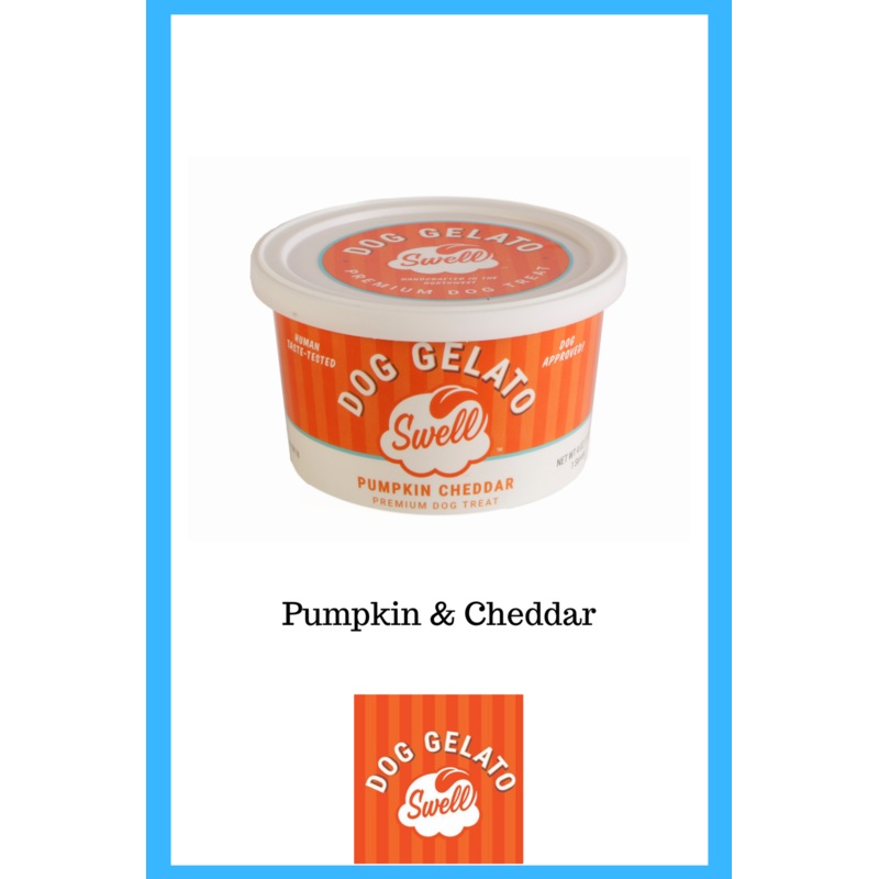 Swell - Pumpkin Cheddar Dog Gelato