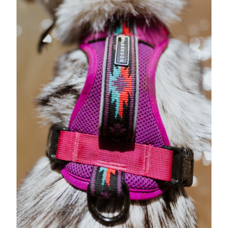 Wilderdog Harness - Berry