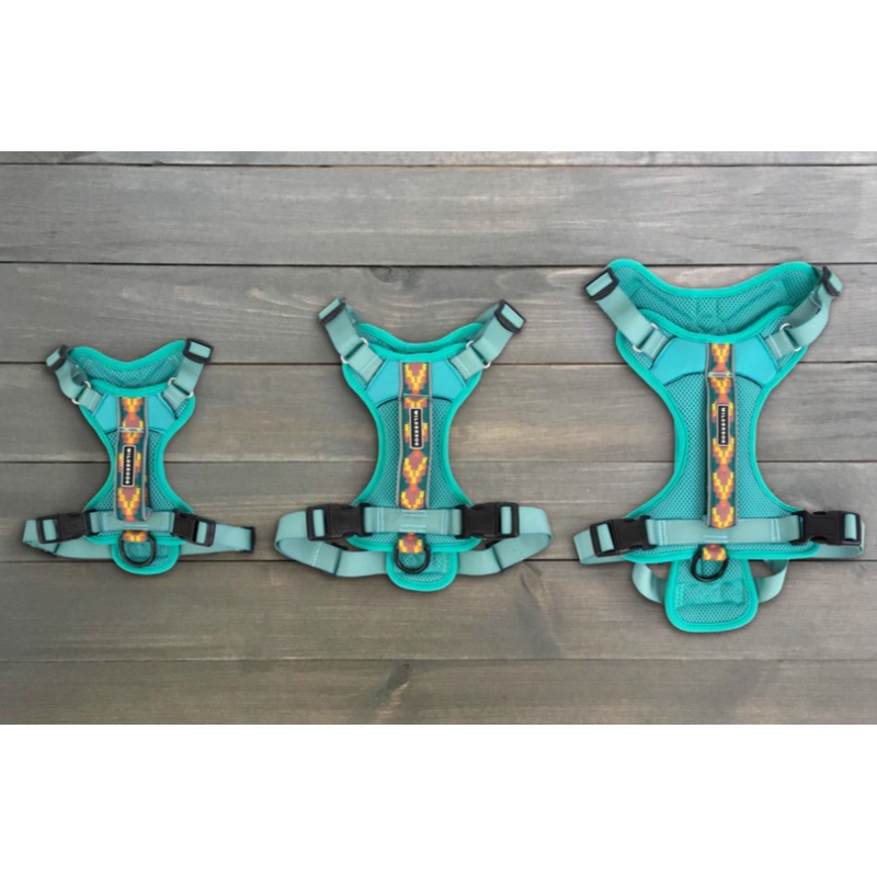 Wilderdog Harness - Seafoam