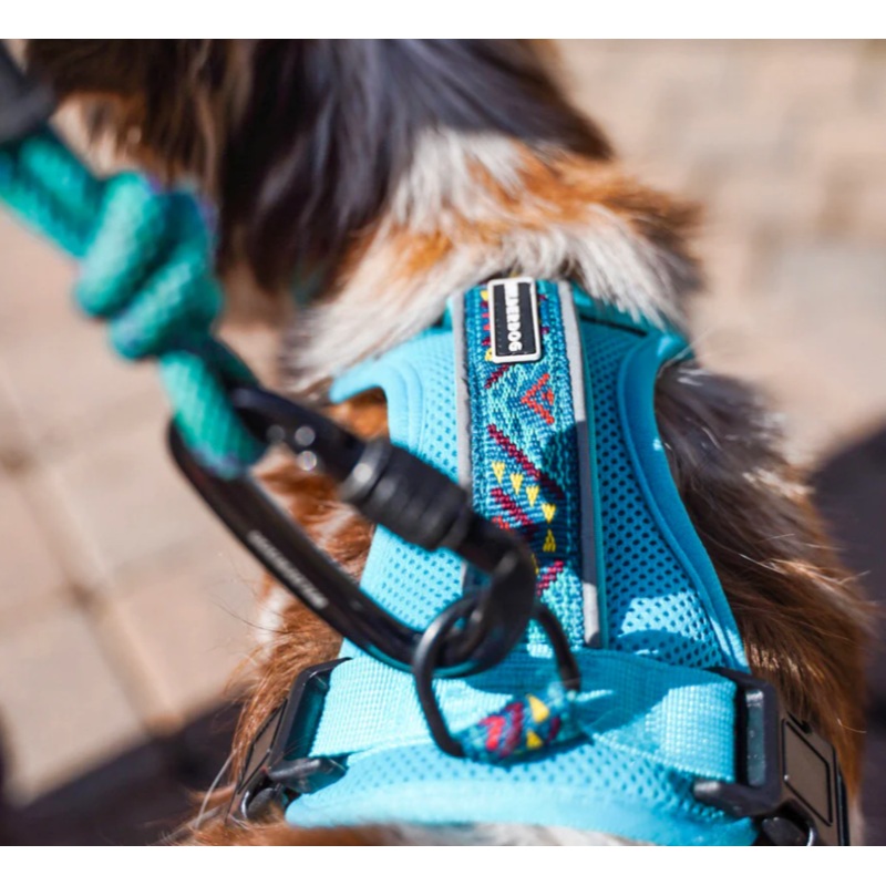 Wilderdog Harness - Teal